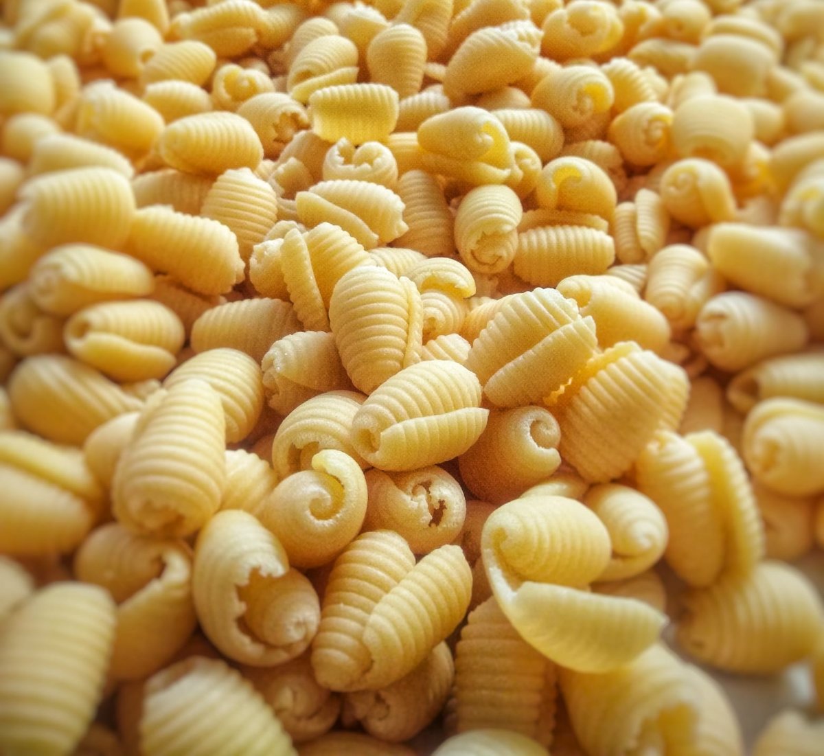 Gnochetti